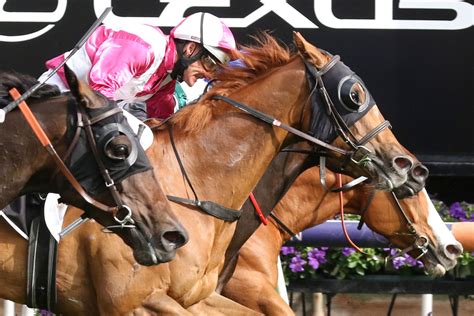 Superstorm's super Cantala win .